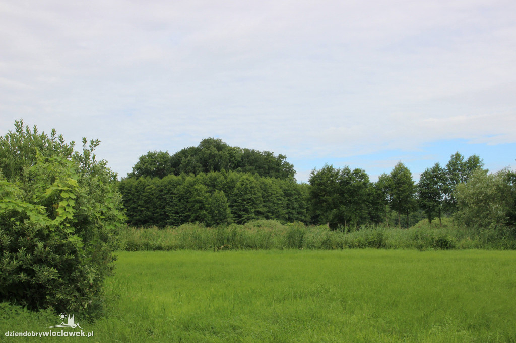 Odkrycie włocławskich archeologów