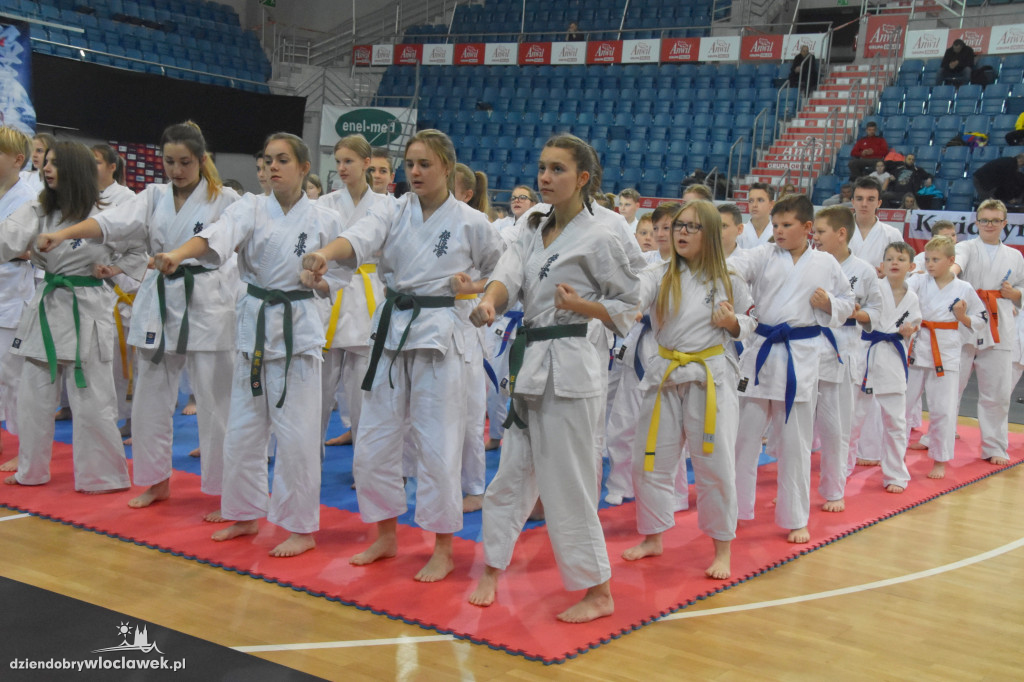 Kujawy IKO CUP Włocławek 2018