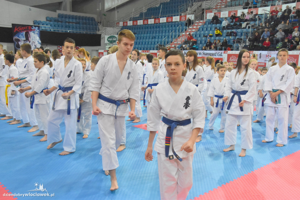 Kujawy IKO CUP Włocławek 2018