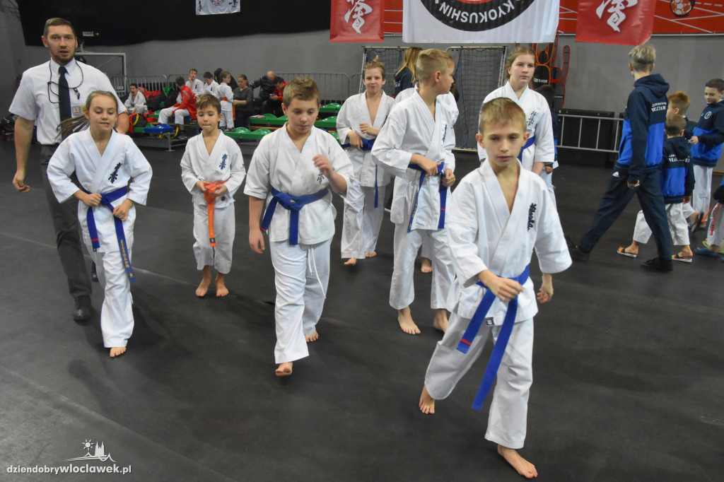 Kujawy IKO CUP Włocławek 2018