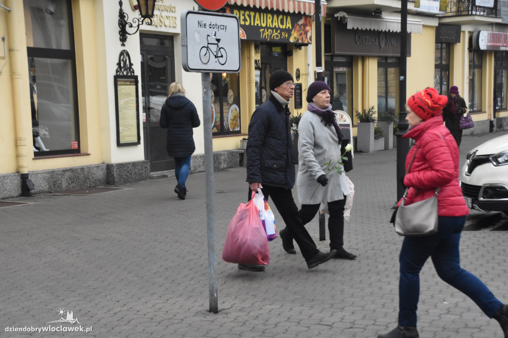 Biała Wstążka na włocławskich ulicach