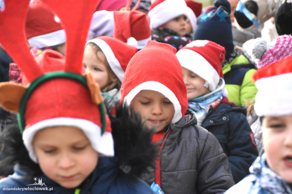 Ubierali choinkę na osiedlu Południe