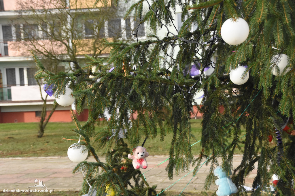 Ubierali choinkę na osiedlu Południe