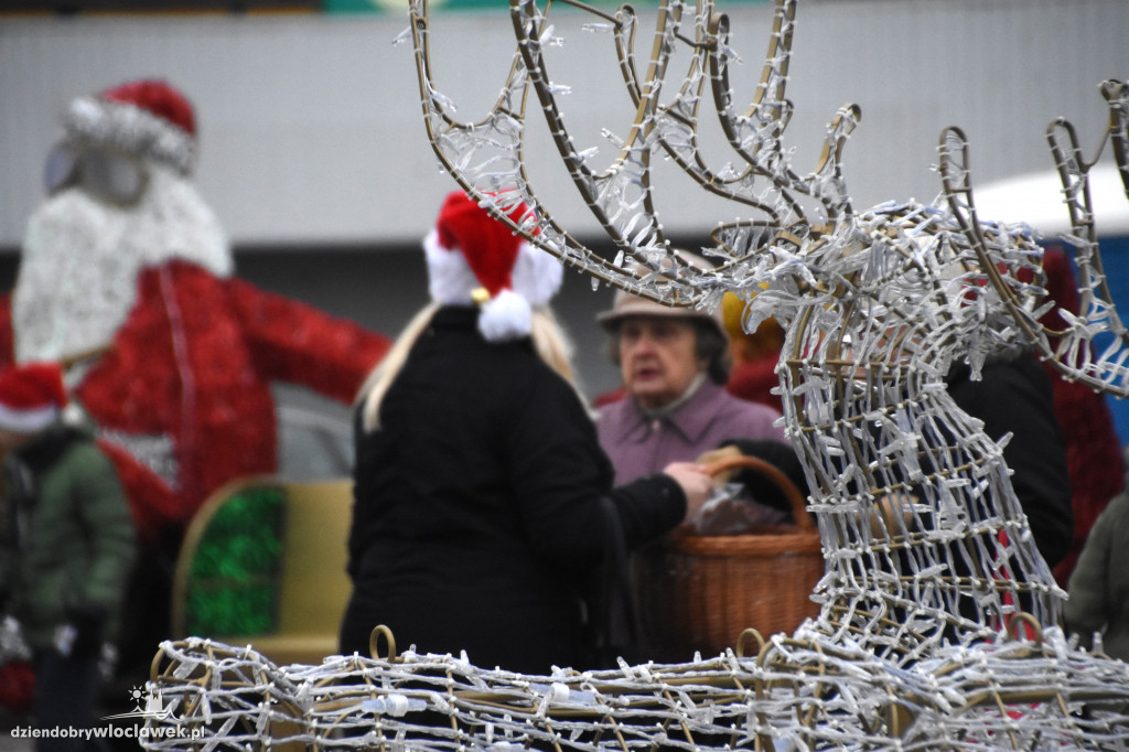 Świąteczne pierniki na placu Wolności