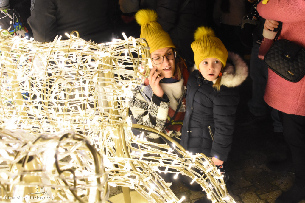 Wystartowała świąteczna iluminacja!
