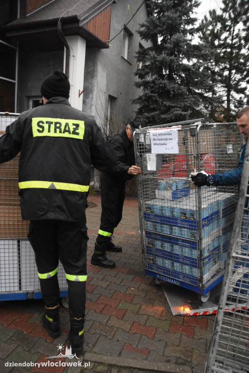Rossman wsparł włocławskie schronisko