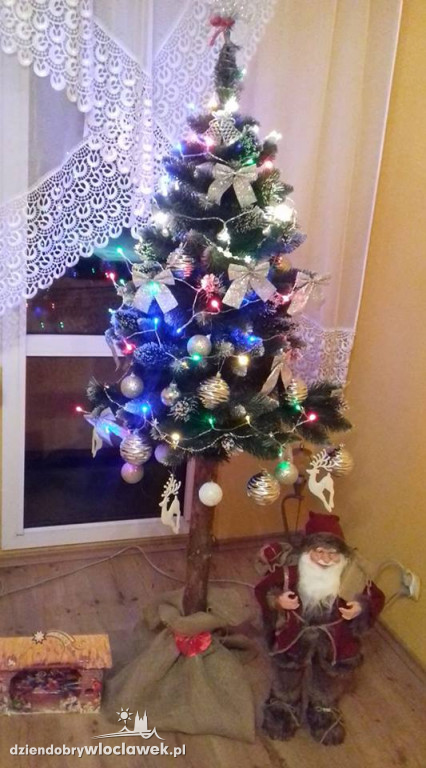 Tak włocławianie ozdobili choinki