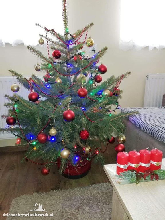 Tak włocławianie ozdobili choinki