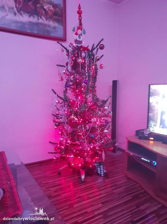 Tak włocławianie ozdobili choinki