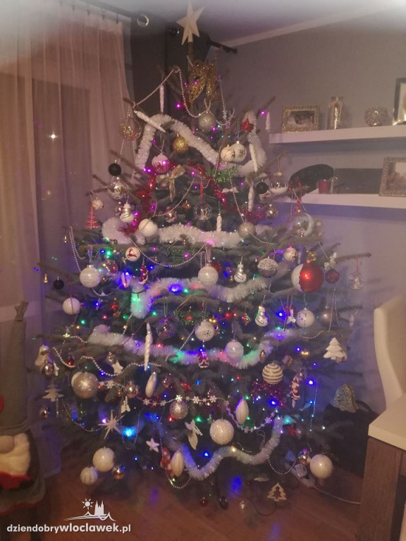 Tak włocławianie ozdobili choinki