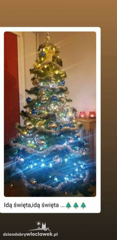 Tak włocławianie ozdobili choinki