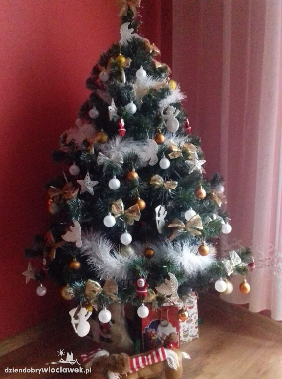 Tak włocławianie ozdobili choinki