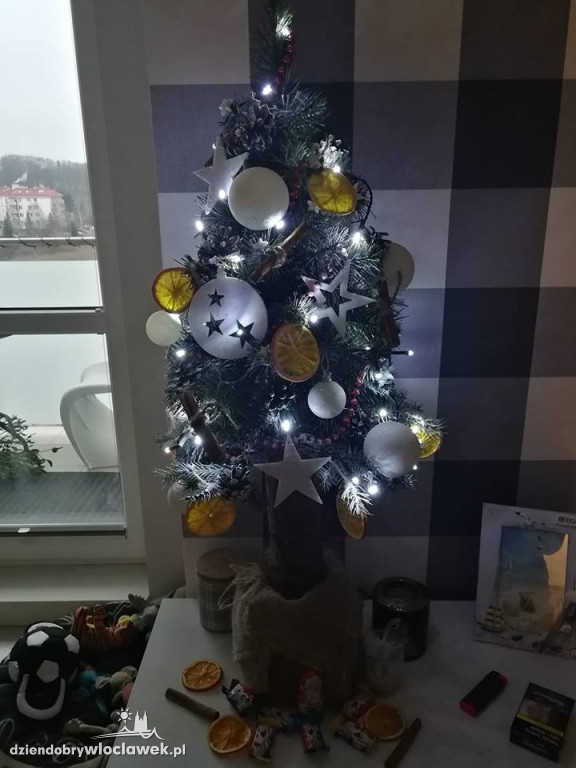 Tak włocławianie ozdobili choinki
