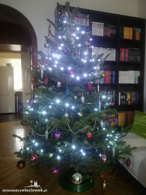 Tak włocławianie ozdobili choinki