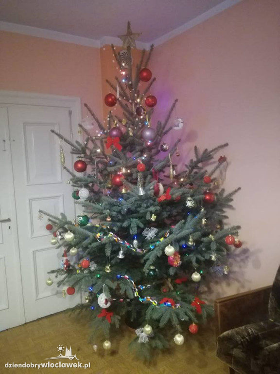 Tak włocławianie ozdobili choinki