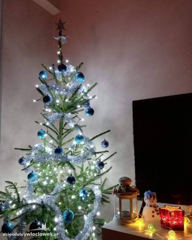 Tak włocławianie ozdobili choinki