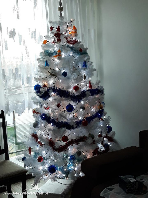 Tak włocławianie ozdobili choinki