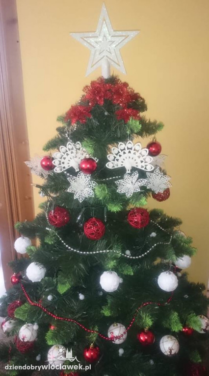 Tak włocławianie ozdobili choinki