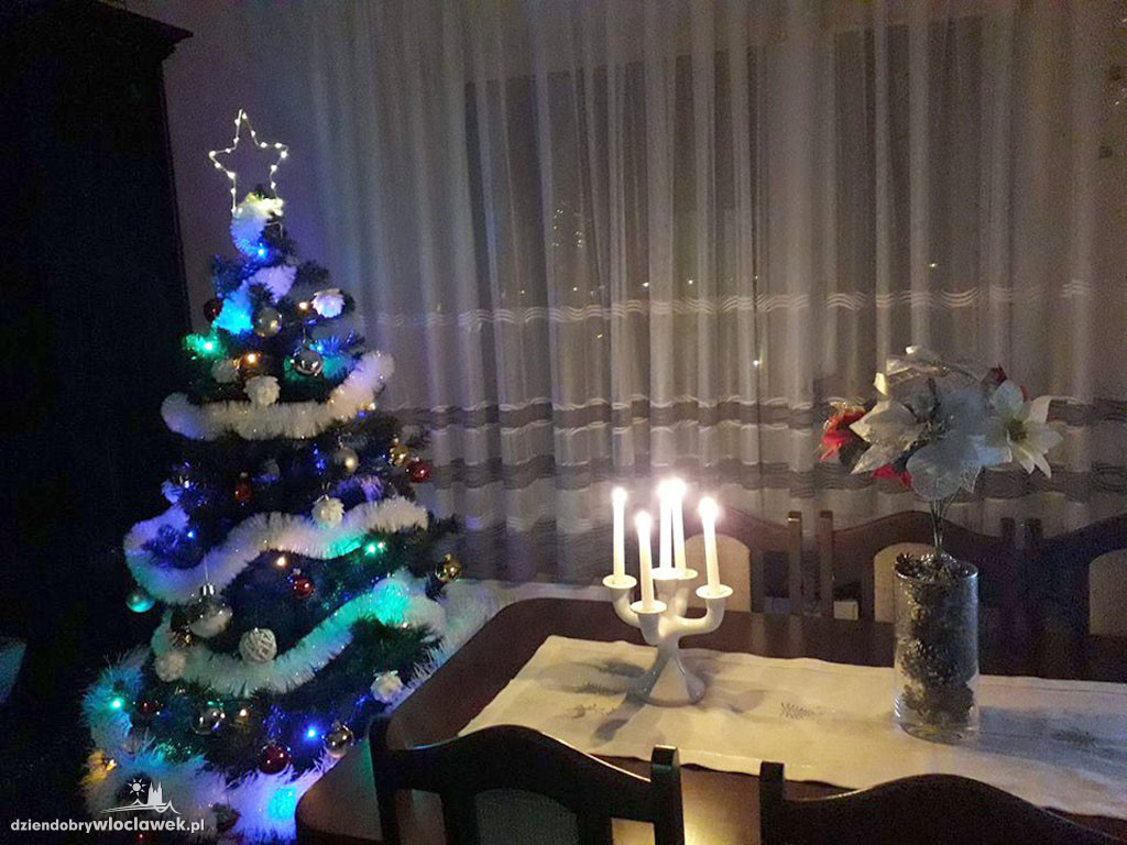 Tak włocławianie ozdobili choinki