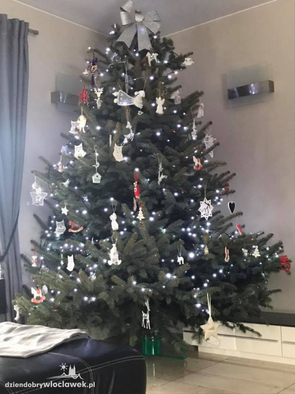 Tak włocławianie ozdobili choinki