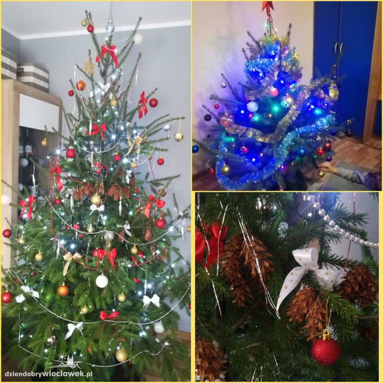 Tak włocławianie ozdobili choinki
