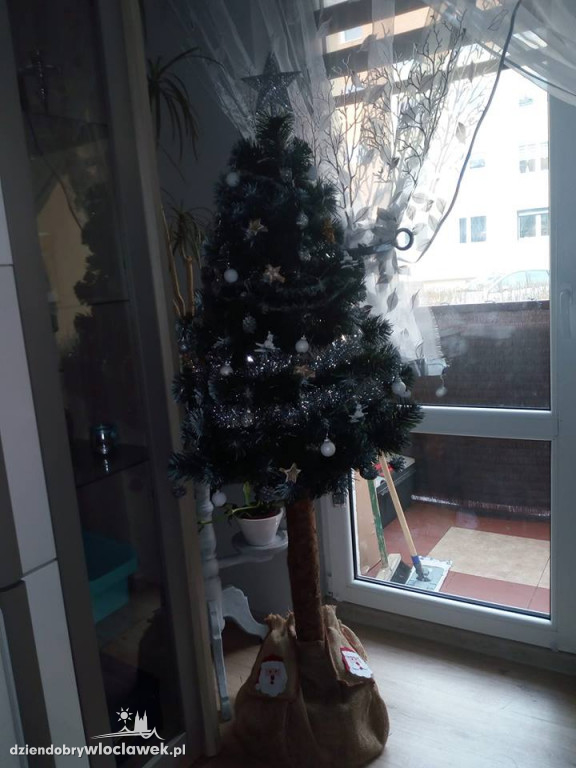Tak włocławianie ozdobili choinki