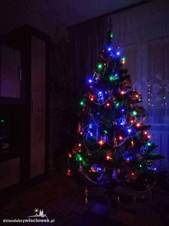 Tak włocławianie ozdobili choinki