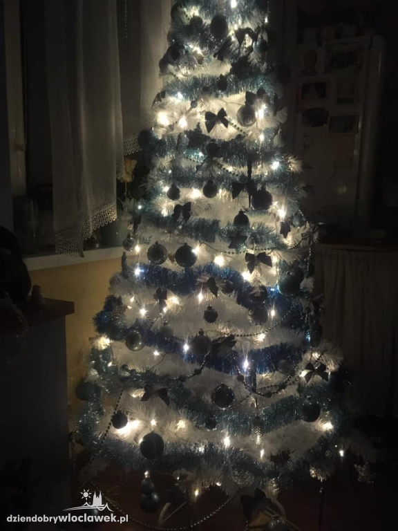 Tak włocławianie ozdobili choinki