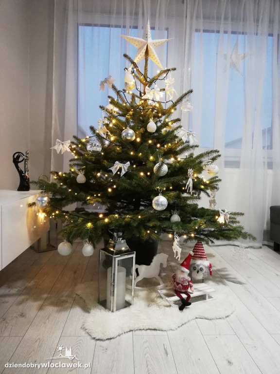 Tak włocławianie ozdobili choinki