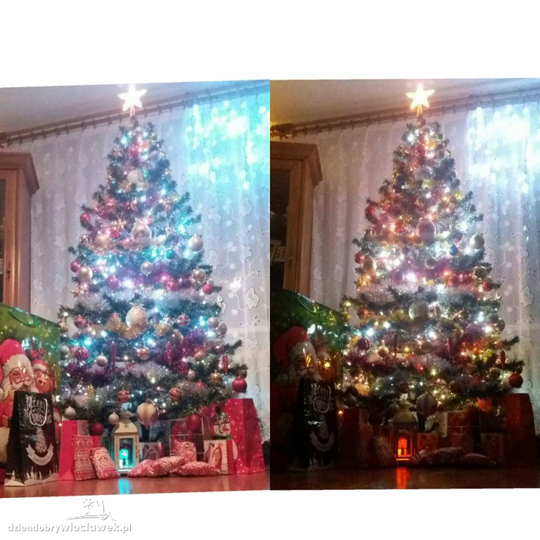Tak włocławianie ozdobili choinki