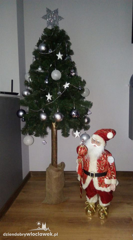 Tak włocławianie ozdobili choinki