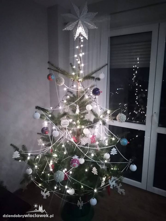 Tak włocławianie ozdobili choinki