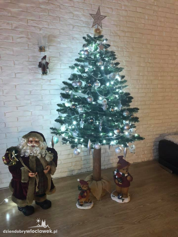 Tak włocławianie ozdobili choinki