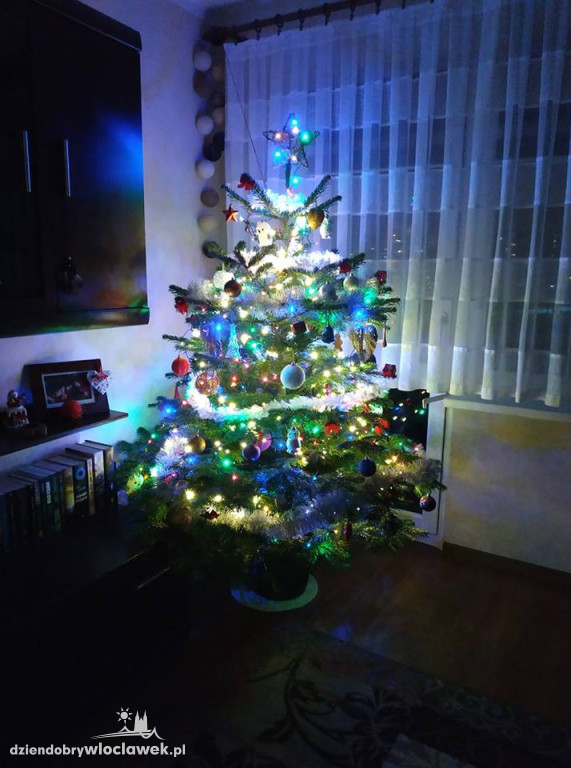 Tak włocławianie ozdobili choinki