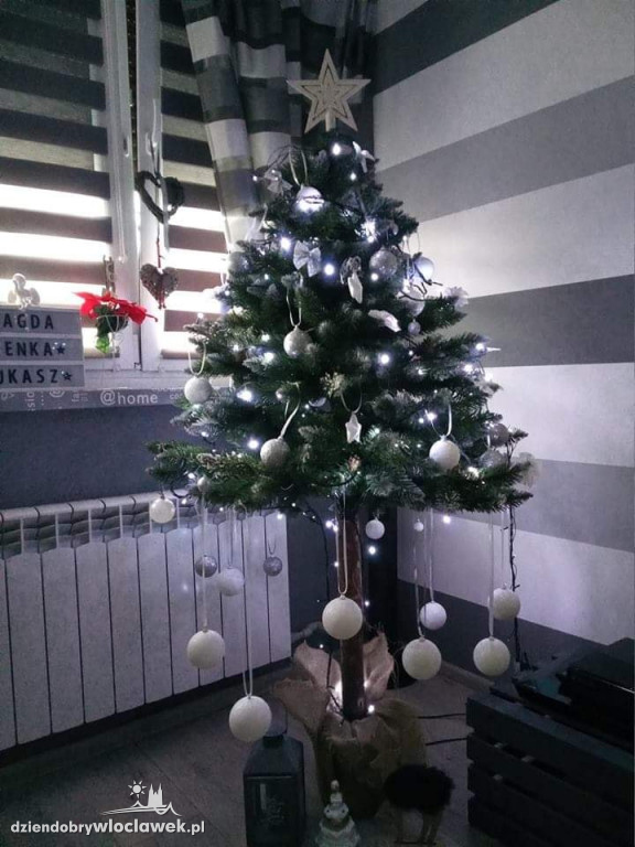 Tak włocławianie ozdobili choinki