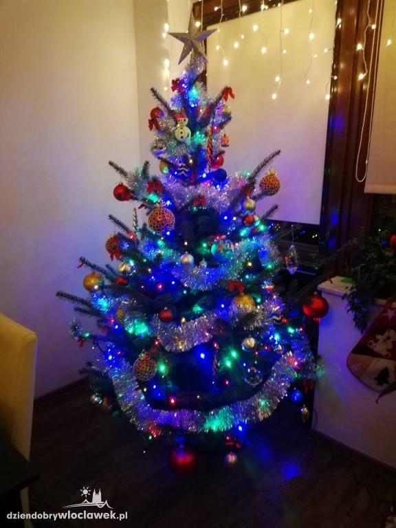 Tak włocławianie ozdobili choinki
