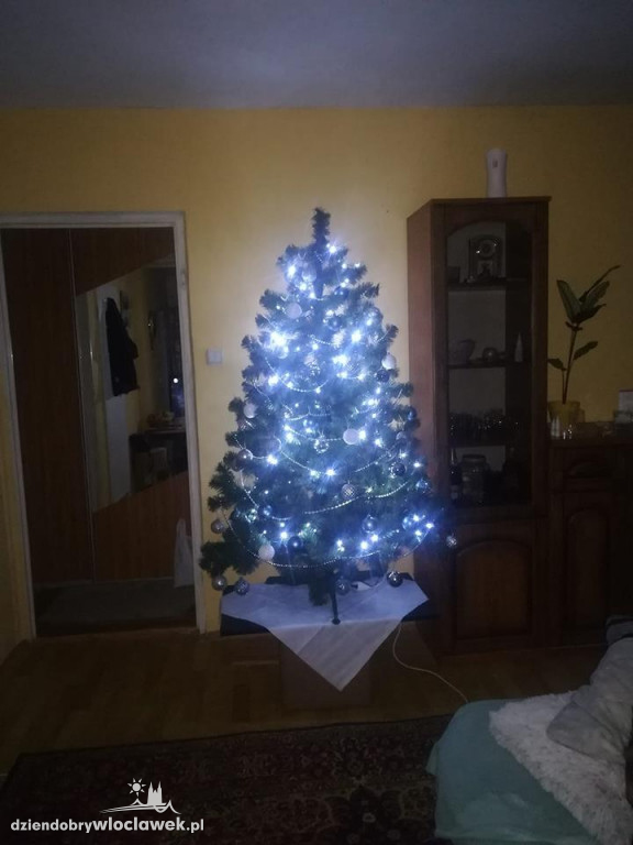 Tak włocławianie ozdobili choinki