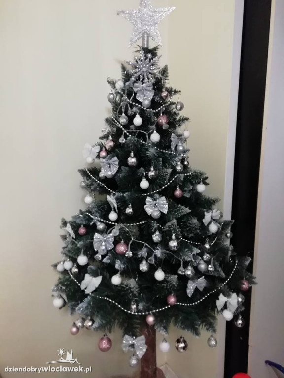 Tak włocławianie ozdobili choinki