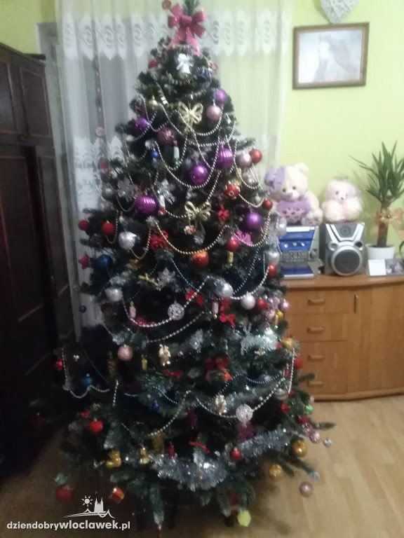 Tak włocławianie ozdobili choinki