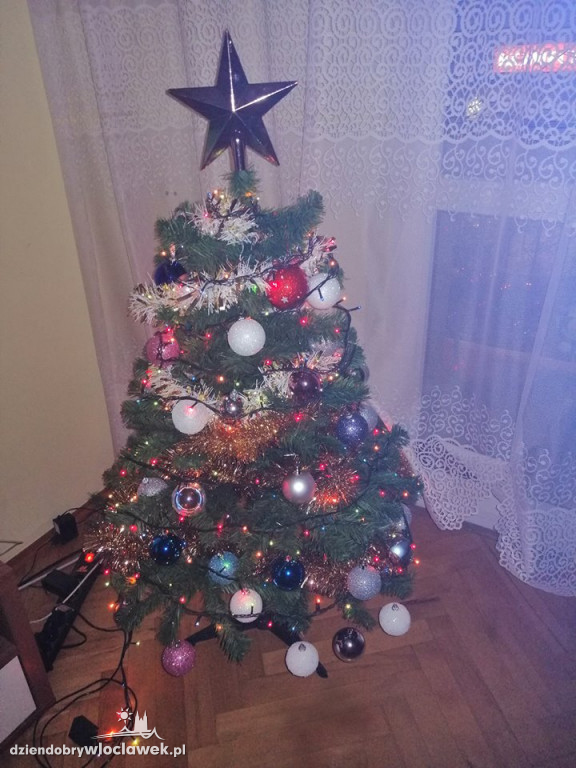 Tak włocławianie ozdobili choinki