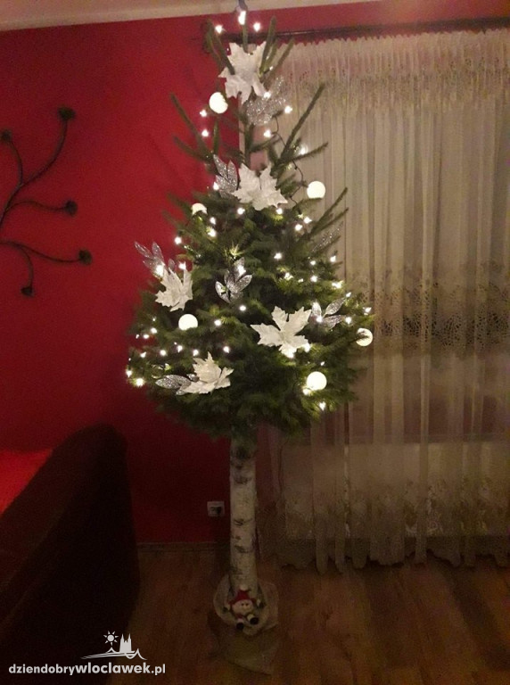 Tak włocławianie ozdobili choinki