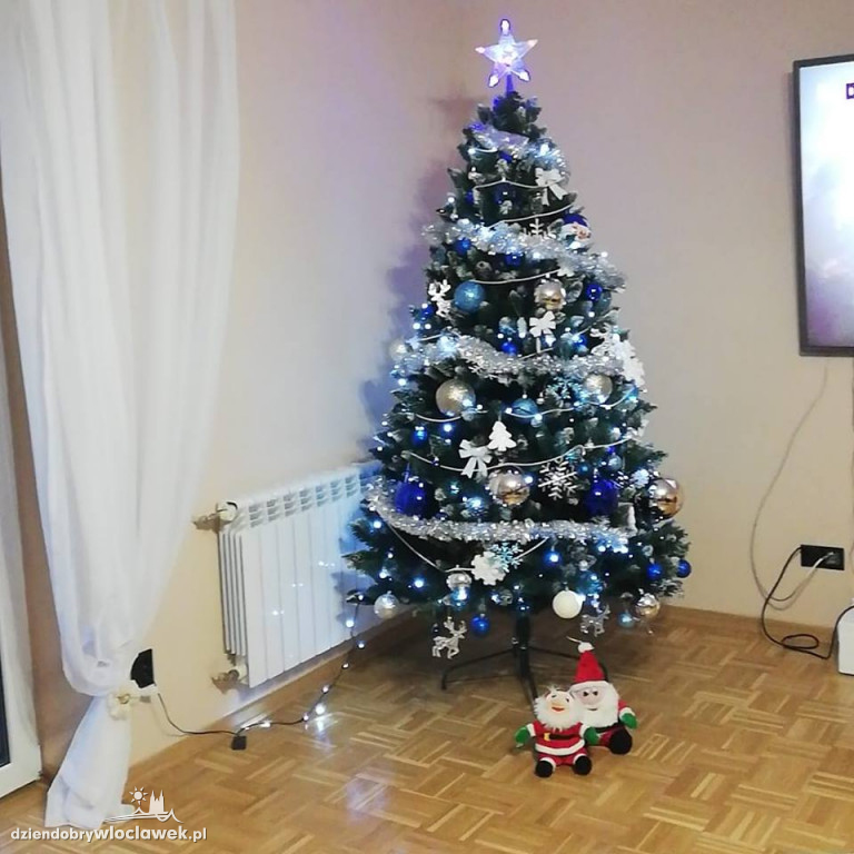 Tak włocławianie ozdobili choinki