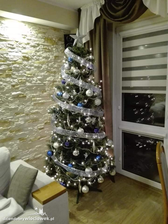 Tak włocławianie ozdobili choinki