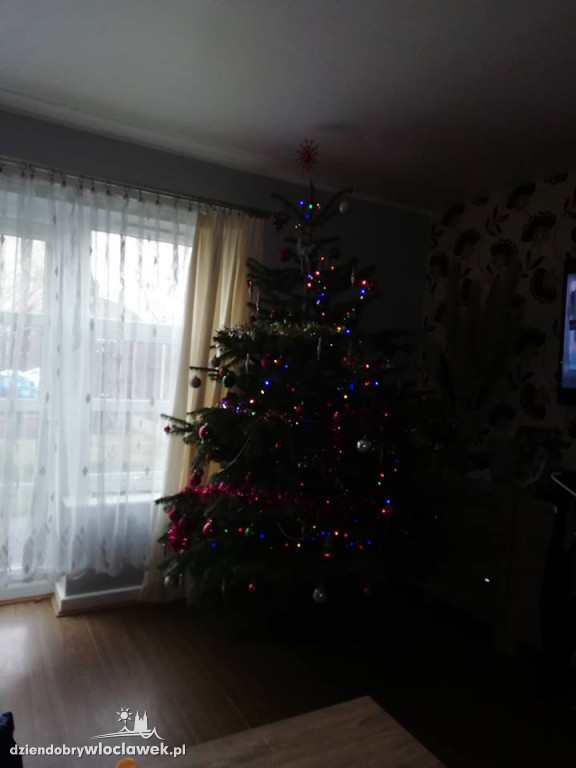 Tak włocławianie ozdobili choinki
