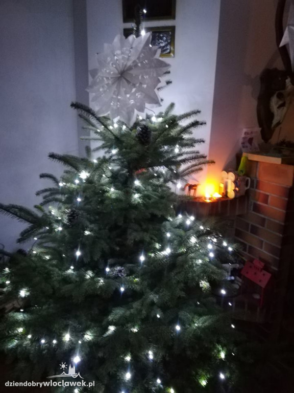 Tak włocławianie ozdobili choinki