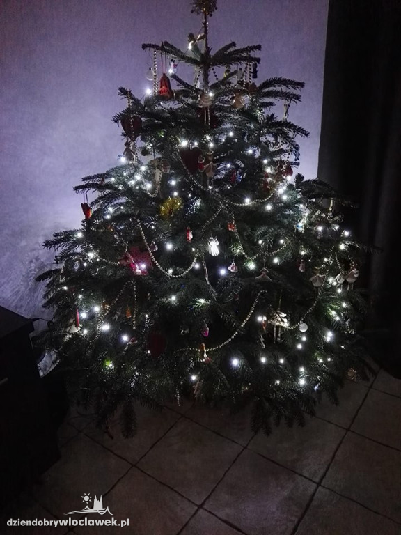 Tak włocławianie ozdobili choinki