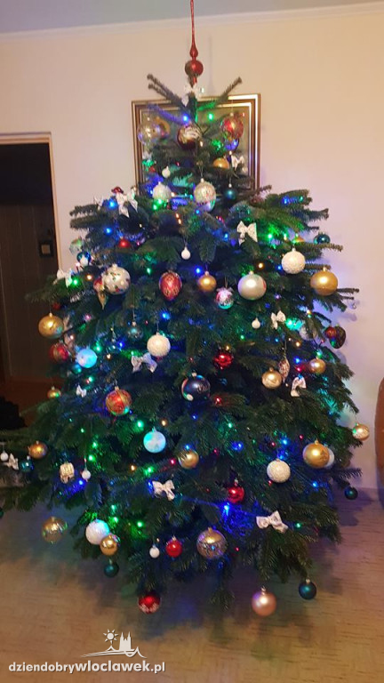 Tak włocławianie ozdobili choinki