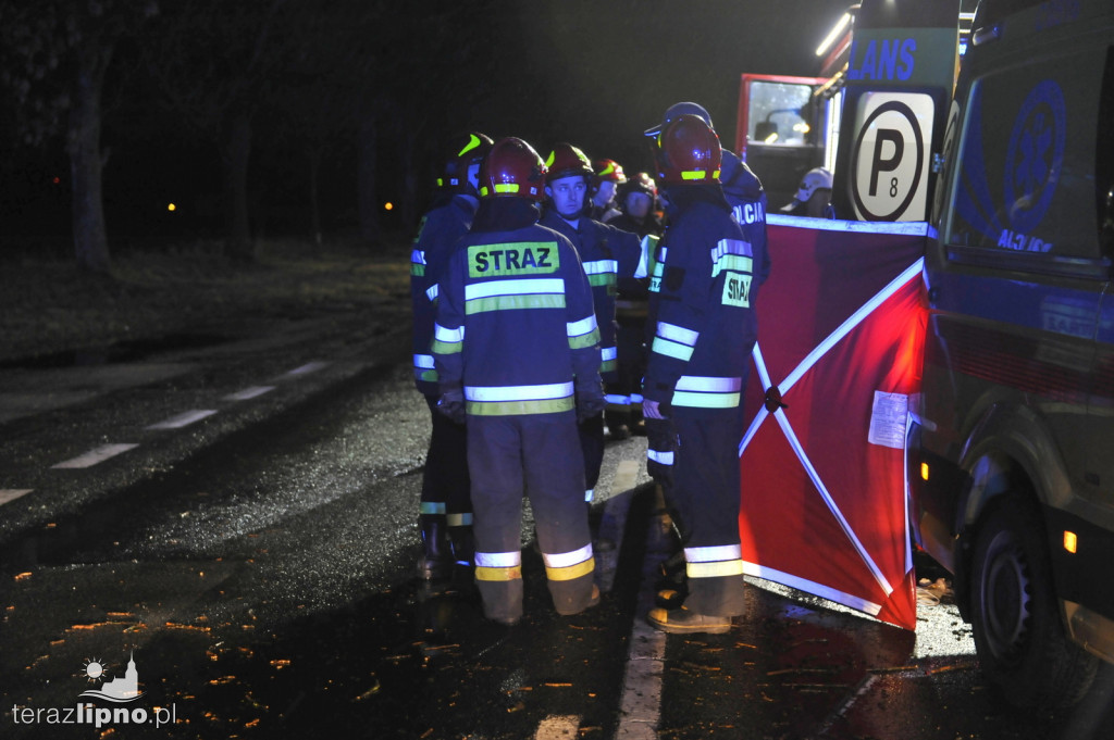 DK67. 30-letni kierowca bmw nie żyje