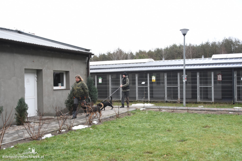 #Karma Wraca - koszykarze w schronisku