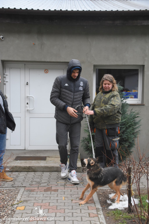 #Karma Wraca - koszykarze w schronisku